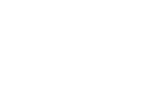 Cyber Safe